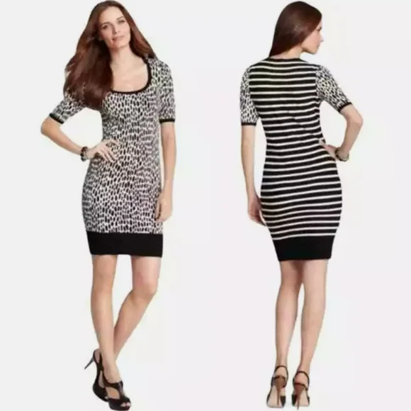 Ann Taylor Printed & Striped Sheath Sweater Dress large - Picture 2 of 6